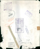 Atalanta spreads her 8ft wingspan. - Vintage Photograph