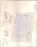 A Golden Eagle. - Vintage Photograph