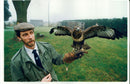 Ian Bedingfield with a Buzzard. - Vintage Photograph