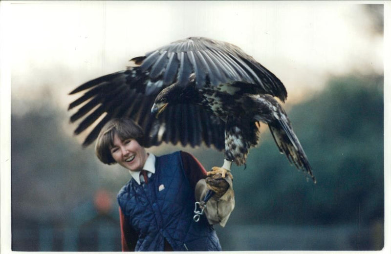 Jane Pardoe with immature bald eagle. - Vintage Photograph