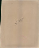 Eagle in the Moonlight. - Vintage Photograph