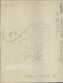 A Golden Eagle. - Vintage Photograph