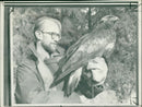 Douglas Weir with Judy one legged golden eagle. - Vintage Photograph