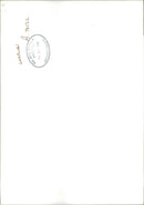 Bird Eagle. - Vintage Photograph