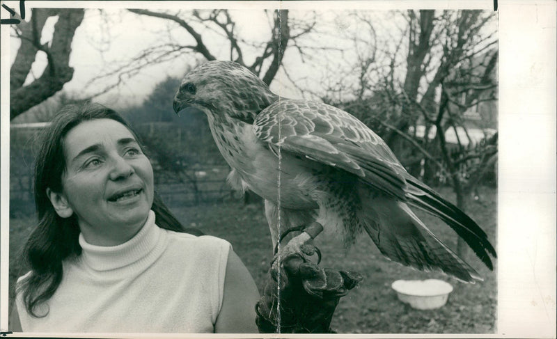 Eagle Bird - Vintage Photograph