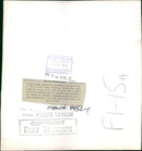 Eagle Bird - Vintage Photograph