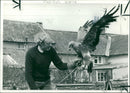 Eagle Bird - Vintage Photograph