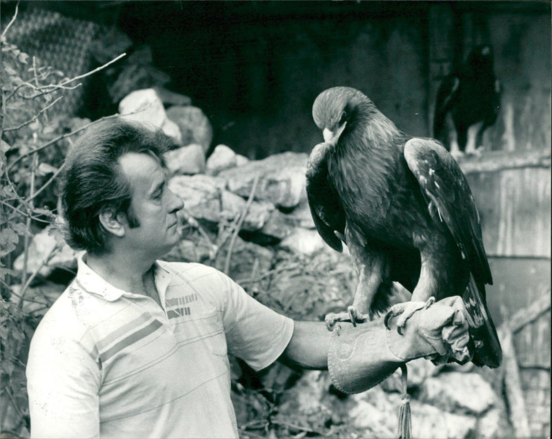 Eagle Bird - Vintage Photograph