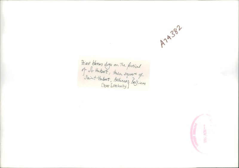 Priest blesses dogs on the festival. - Vintage Photograph