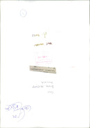 Peter McEvoy. - Vintage Photograph