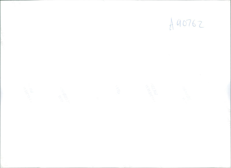 Dog Fail - Vintage Photograph