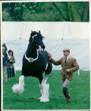 Kevin Flynn. - Vintage Photograph