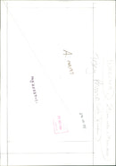 Animal and House. - Vintage Photograph