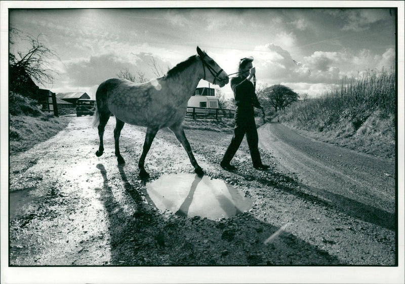 Animal and House. - Vintage Photograph