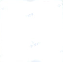 Animal and House. - Vintage Photograph