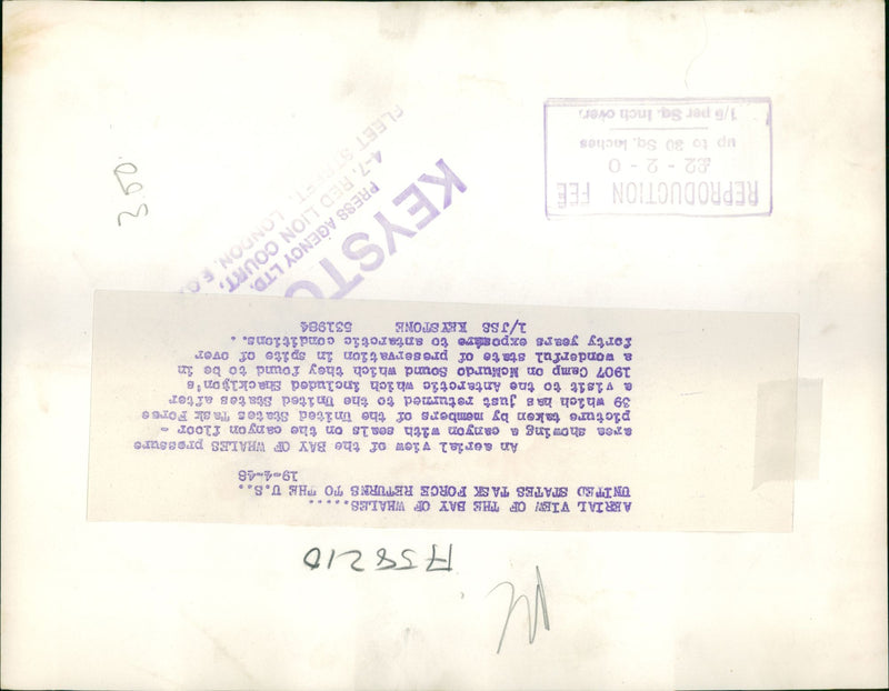 Antartica - Vintage Photograph