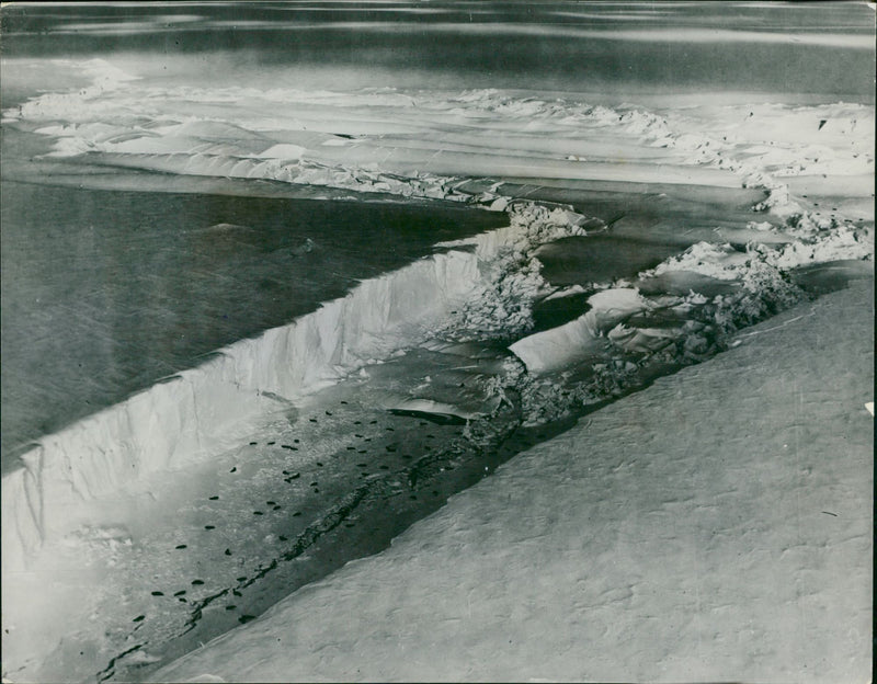Antartica - Vintage Photograph