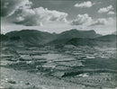 A view of the Drakenstein Valley. - Vintage Photograph