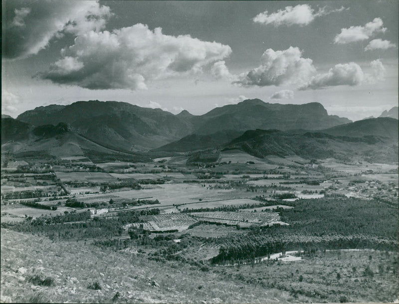 A view of the Drakenstein Valley. - Vintage Photograph