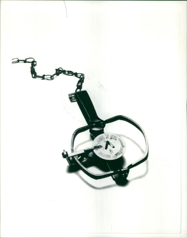 Animal Traps - Vintage Photograph