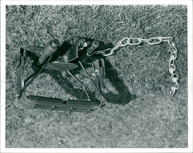 Animal Traps - Vintage Photograph