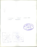 Giantis Causeway Ireland. - Vintage Photograph