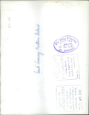 Giantis Causeway Ireland. - Vintage Photograph