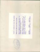 Soviet concert of an earth. - Vintage Photograph