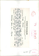 The Last Seal to be admitted to the Natureland. - Vintage Photograph