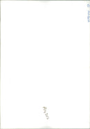 Animal Rabbit. - Vintage Photograph