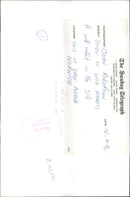 The Study of wild Rabbit. - Vintage Photograph