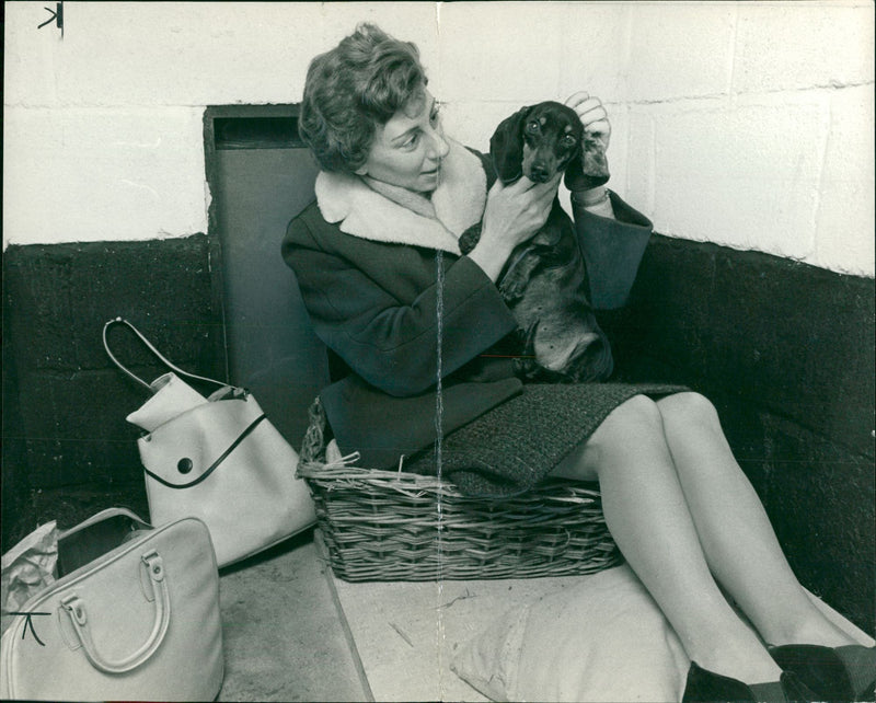 Animal Quarantine - Vintage Photograph