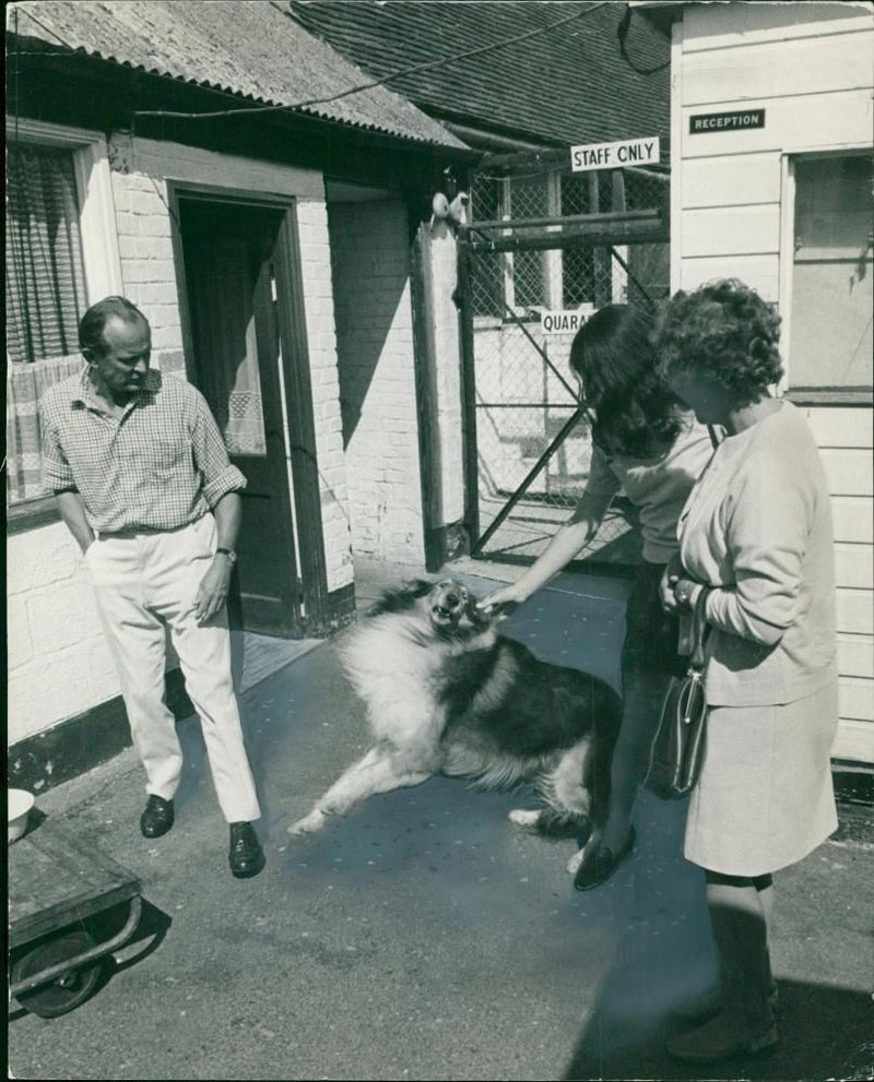 Animal Quarantine - Vintage Photograph