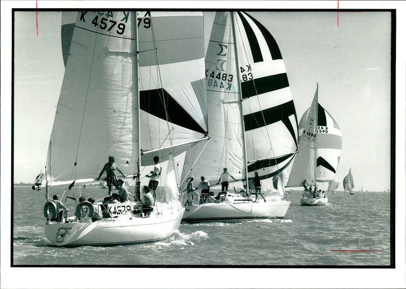 Close encounters of a watery kind as Aliseo. - Vintage Photograph