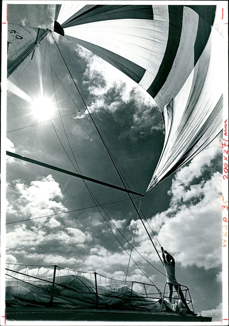 Yacht General. - Vintage Photograph