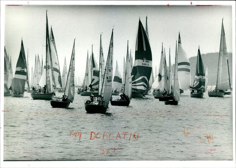 The 100th Round the Island Race. - Vintage Photograph