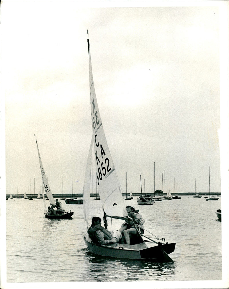 The Cadet Class Yacht Week. - Vintage Photograph