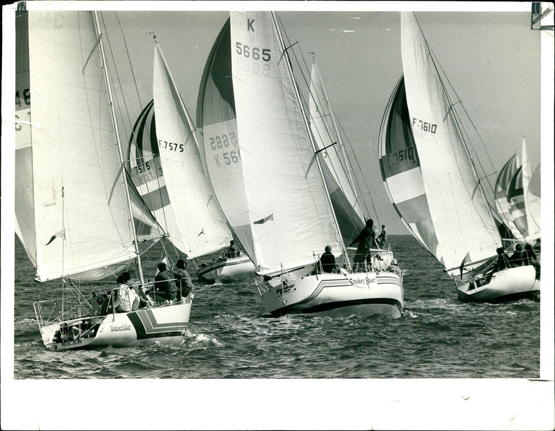 The New Zealand Yacht Waverider. - Vintage Photograph