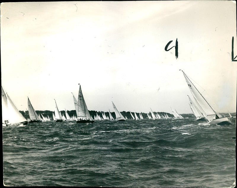 The Island Race off Cowes. - Vintage Photograph