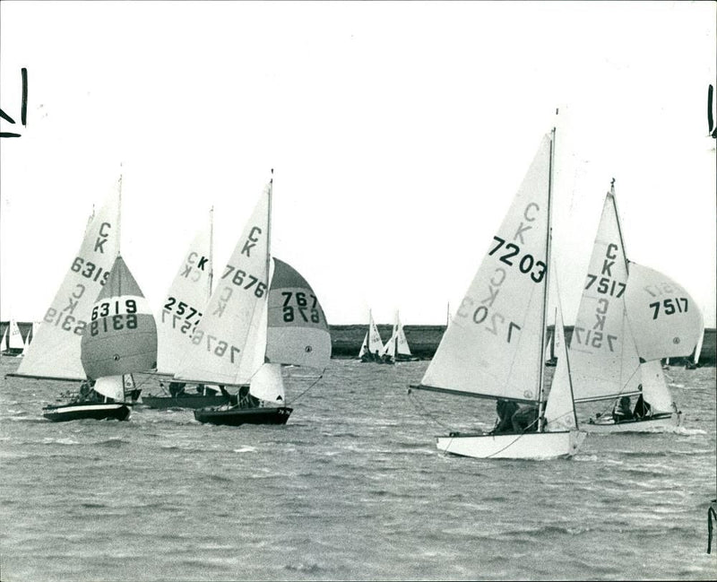 Racing on the River Crouch at Burnham. - Vintage Photograph
