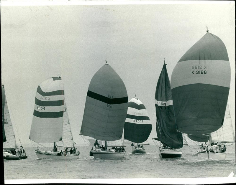 The Start of the Queen's Cup Race. - Vintage Photograph
