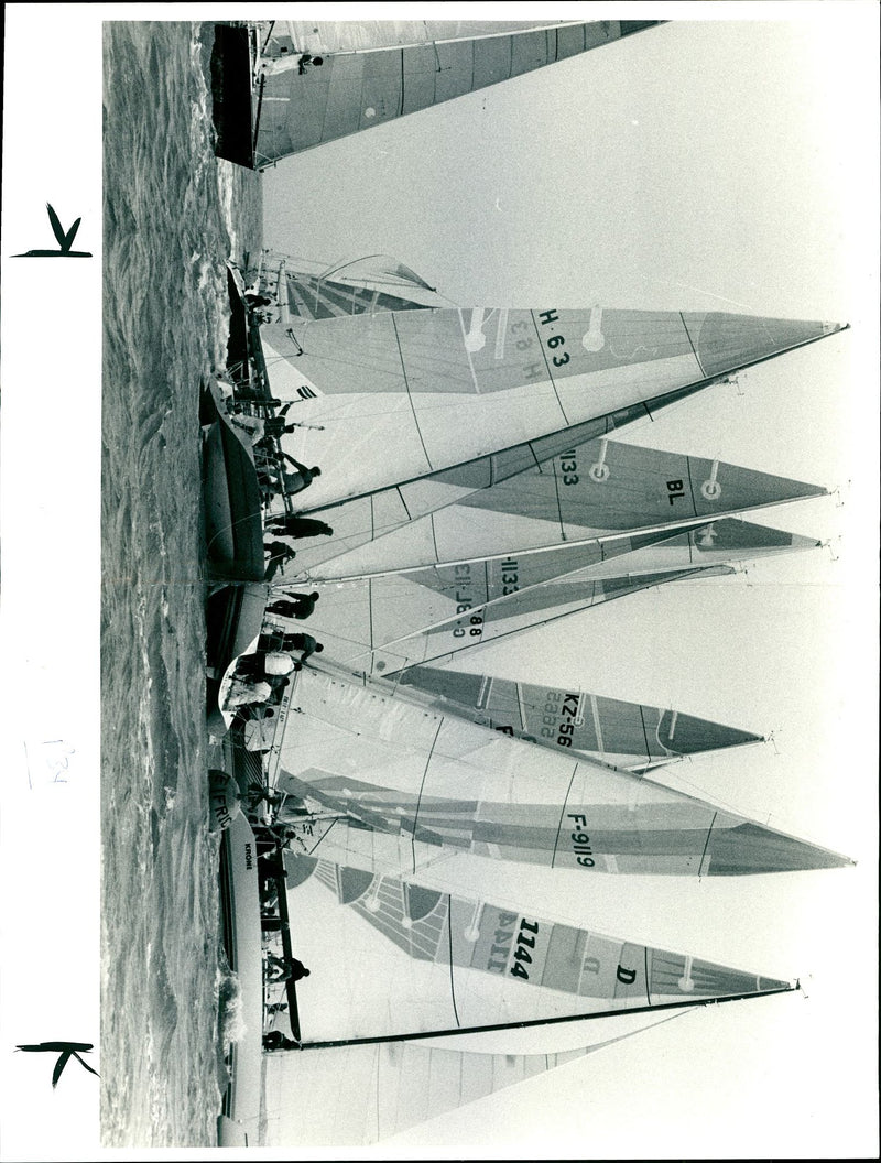 Several Admiral's Cup Yacht were Damaged. - Vintage Photograph