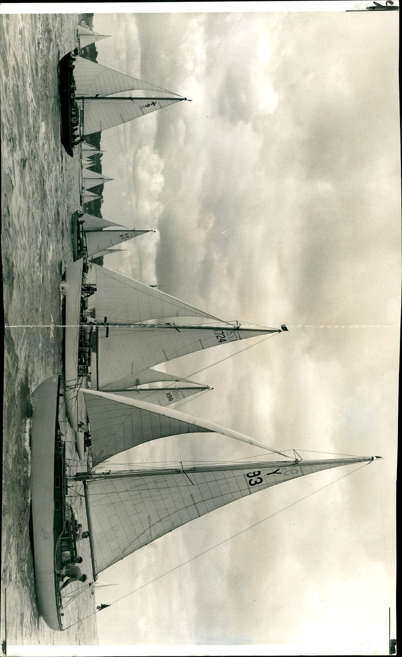 Yachts Competing in the Queen's Cup Race. - Vintage Photograph