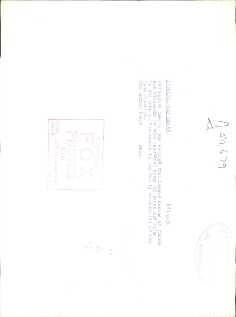 Sunshine and Shadow. - Vintage Photograph