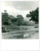 Lake District, Buttermere. - Vintage Photograph