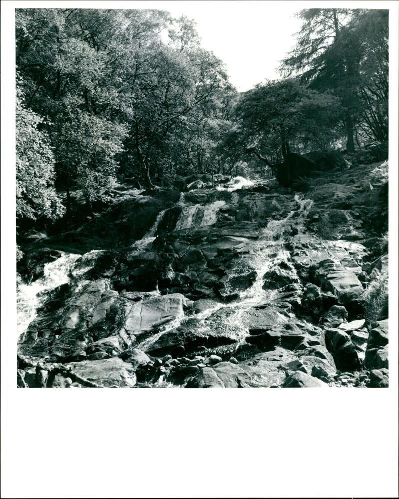 Lake District, Buttermere. - Vintage Photograph