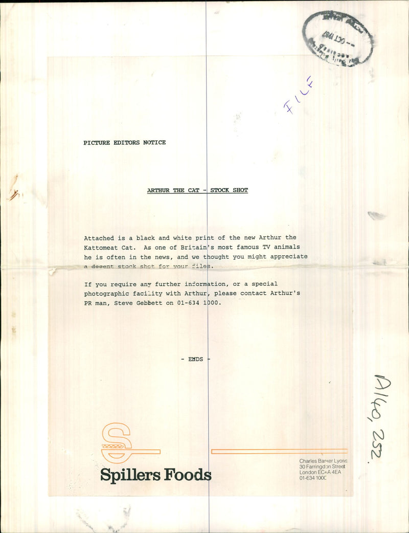 Arthur the cat stock shot. - Vintage Photograph