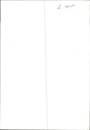 Cat. - Vintage Photograph