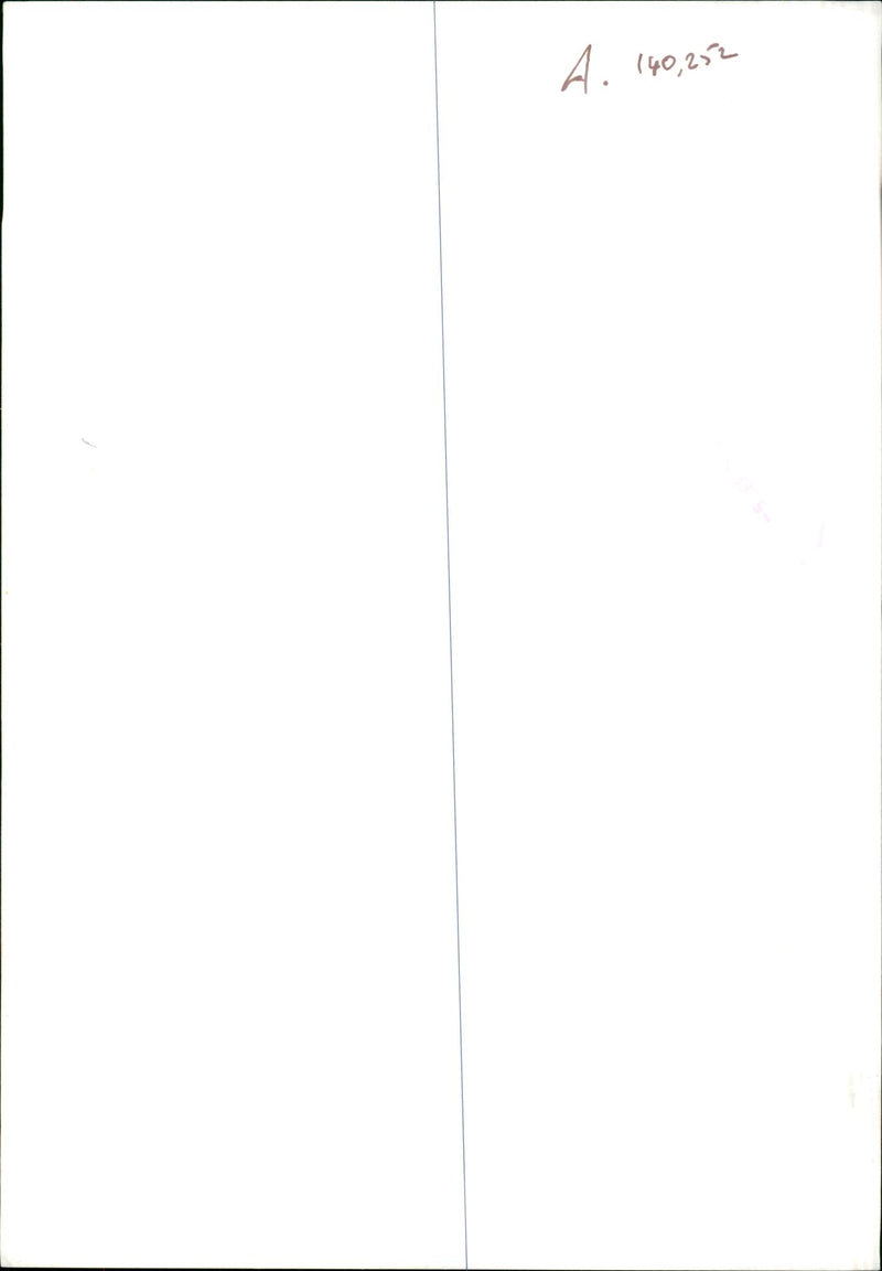 Cat. - Vintage Photograph