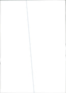 Cat. - Vintage Photograph